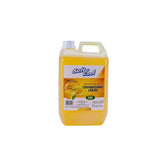 Dish Wash Liquid